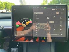 Tesla Model Y 2023 Rear-Wheel Drive - ფოტო 8