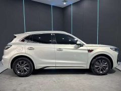 Hongqi HS5 2023 2.0T Qixiang Pro Edition - ფოტო 4