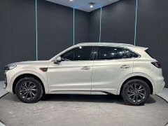 Hongqi HS5 2023 2.0T Qixiang Pro Edition - ფოტო 5