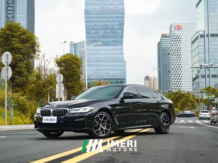 BMW 5 Series Facelift II 530Li Luxury M Sport Package