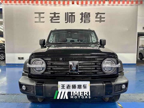 2024 300 2024 Model 2.0T - ავტომობილი ჩინეთიდან