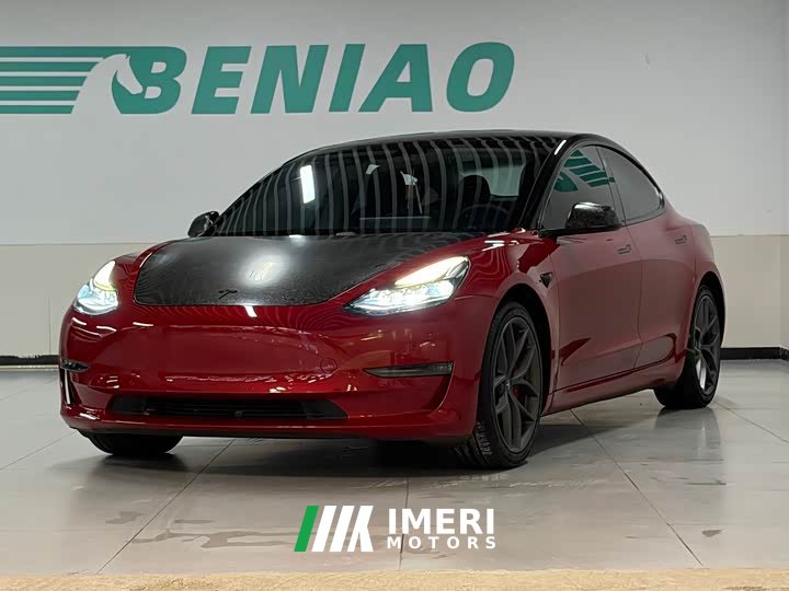 Tesla Model 3 Performance high-performance all-wheel drive version