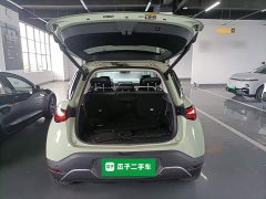 smart elf #1 2022 Pulse exciting version - ფოტო 19