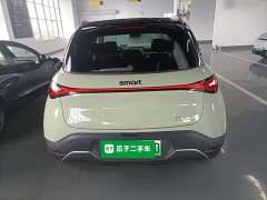 smart elf #1 2022 Pulse exciting version - ფოტო 6