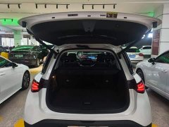 smart Elf #1 2022 Pro version - ფოტო 19