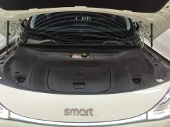 smart Elf #1 2022 Pro version - ფოტო 20