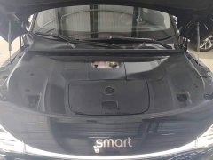smart elf #1 2022 Pulse exciting version - ფოტო 20