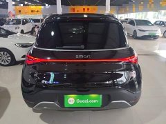 smart elf #1 2022 Pulse exciting version - ფოტო 6