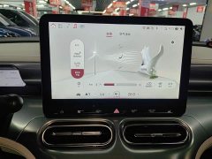 smart #1 Pro Edition - ფოტო 13
