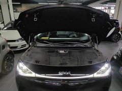 smart #1 Pro Edition - ფოტო 20