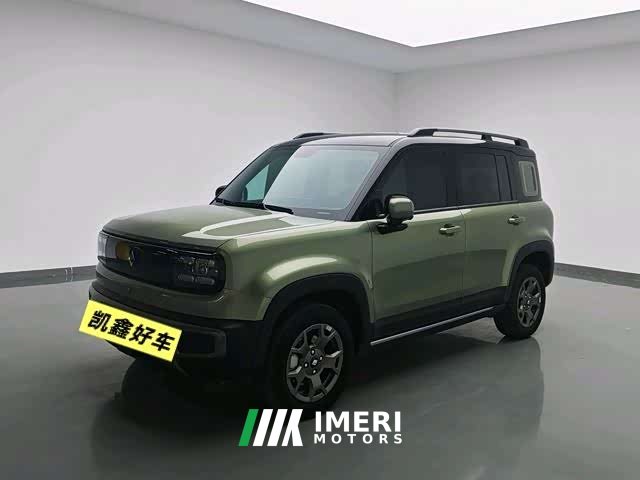 Neta Plus 301kmFlagship Edition