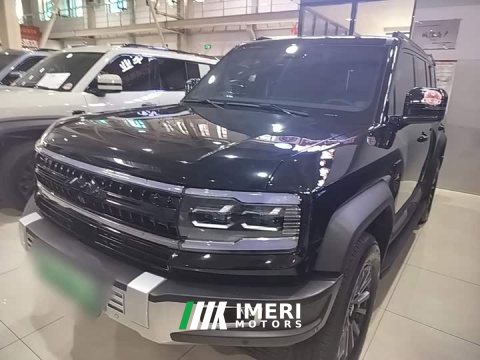 2025 Tesla Leopard 5 2023 Explorer Edition - ავტომობილი ჩინეთიდან
