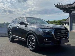 Haval H6 2021 Guochao Edition 1.5T Automatic Urban Edition - ფოტო 3