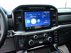 Ford F-150 Raptor 2023 3.5T Raptor - ფოტო 17