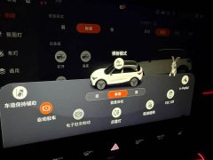smart elf #1 2022 BRABUS performance version - ფოტო 14