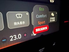 smart elf #1 2022 BRABUS performance version - ფოტო 15
