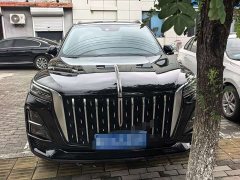 Hongqi HS5 2023 2.0T AWD Qixiang Pro Edition - ფოტო 2