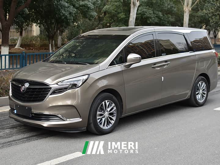 Buick GL8 ES Land 653T Luxury