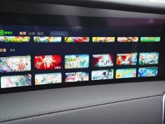 FAW Red Flag E-HS9 660km Range Flagship Edition Six-Seater - ფოტო 9