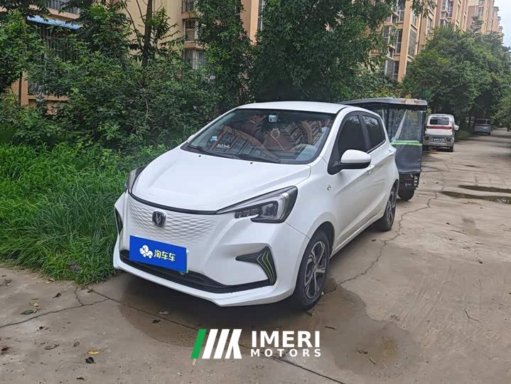 Changan Benben E-Star 2022 Shangxin Edition Colorful Edition LFP