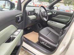 Baojun Yep Plus 2026 301km Flagship Edition - ფოტო 16