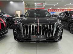 Hongqi HS5 2025 2.0T two-wheel drive Qixiang Pro version - photo 2