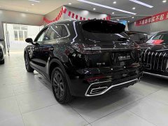 Hongqi HS5 2025 2.0T two-wheel drive Qixiang Pro version - photo 6