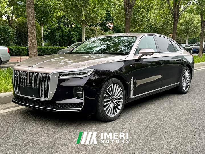 Hongqi H9 2020 3.0T Zhilian Qichang Edition