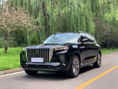 Hongqi E-HS9 2021 Qixian Edition 6-Seater - ფოტო 1