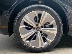 Hongqi E-HS9 2021 Qixian Edition 6-Seater - ფოტო 19