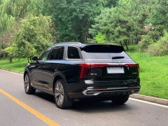 Hongqi E-HS9 2021 Qixian Edition 6-Seater - ფოტო 6