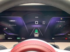 Hongqi E-HS9 2021 Qixian Edition 6-Seater - ფოტო 8