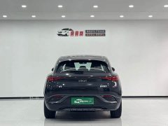 smart Elf #3 2023 Pro version - ფოტო 3