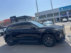 Hongqi HS5 2023 2.0T Qixiang Pro 500,000 Units Commemorative Edition - ფოტო 4