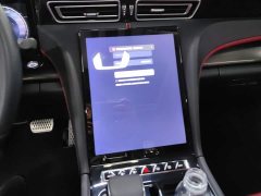 Hongqi H6 2024 2.0T Beauty Edition - ფოტო 13