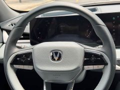 Changan Ruicheng PLUS 2023 1.5T DCT Pilot Edition - ფოტო 14
