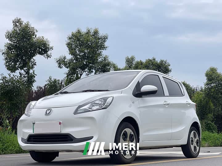 Changan Benben E-Star 2021 National Edition Xinyue Edition Lithium Iron Phosphate (31.18kWh)