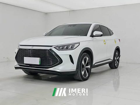 2021 BYD PLUS DM-i 110KM FlagshipPLUS - ავტომობილი ჩინეთიდან