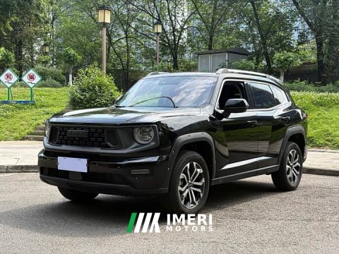 2025 Haval Dargo 2.0T 2WD EditionPlus - ავტომობილი ჩინეთიდან