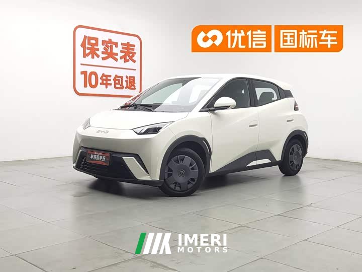BYD Seagull Honor Edition 305km Vitality Edition