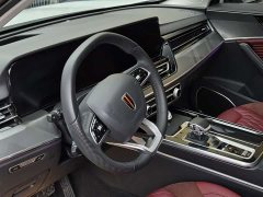 Hongqi HS5 2023 2.0T 4WD Qiling Pro Edition - ფოტო 12