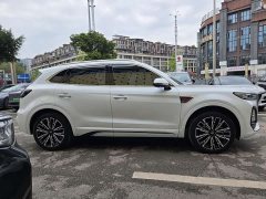 Hongqi HS5 2023 2.0T 4WD Qiling Pro Edition - ფოტო 4