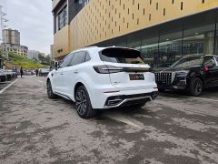 Hongqi HS5 2023 2.0T 4WD Qiling Pro Edition - ფოტო 6