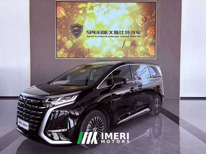 Denza D9 2024 DM-i 980 four-wheel drive premium