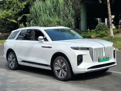 Hongqi E-HS9 2021 Qixian Edition 6-Seater - ფოტო 3