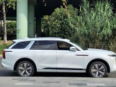 Hongqi E-HS9 2021 Qixian Edition 6-Seater - ფოტო 4
