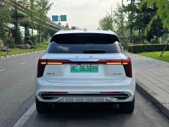 Hongqi E-HS9 2021 Qixian Edition 6-Seater - ფოტო 6