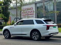Hongqi E-HS9 2021 Qixian Edition 6-Seater - ფოტო 7