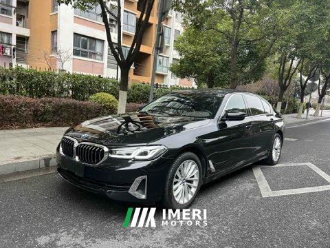 2021 BMW 5 Series 525Li Luxury Package - ავტომობილი ჩინეთიდან