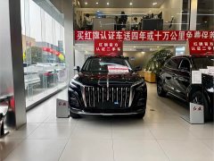 Hongqi HS3 PHEV 2025 117km Jinwei Edition - ფოტო 2